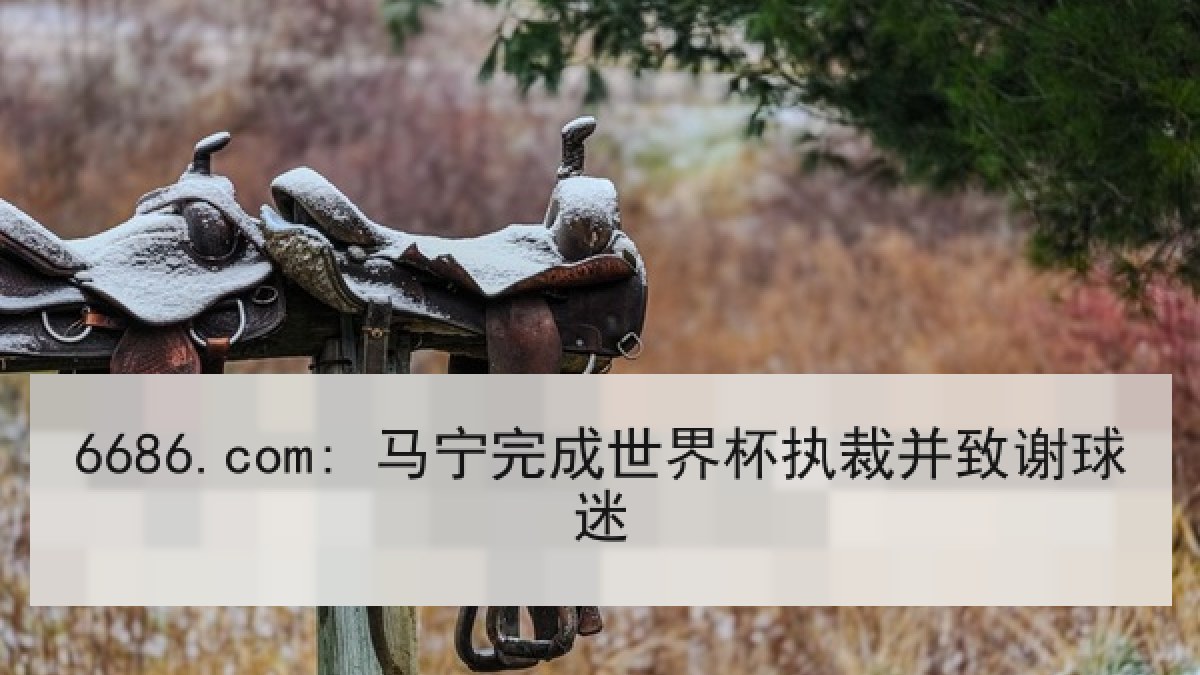 6686.com: 马宁完成世界杯执裁并致谢球迷